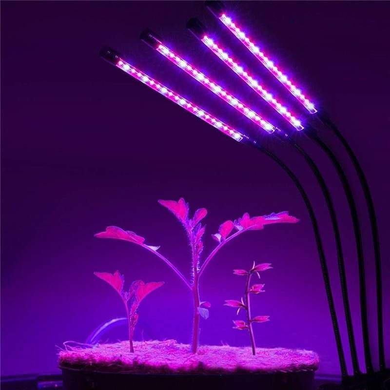 Фітолампа для рослин та розсади повний спектр на підставці 4 лампи LED LAMPMA MARK AND 4 IN1 - Зображення 4